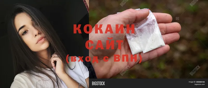 КОКАИН Fish Scale  Дятьково 